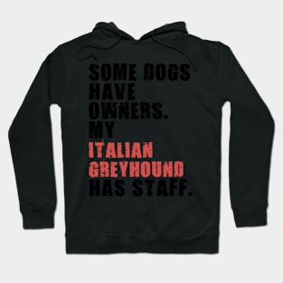 Some Dogs Have Owners My Italian Greyhound Adc054K Hoodie